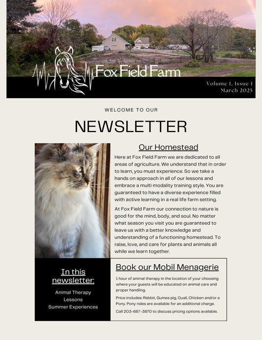 March 2025 Newsletter