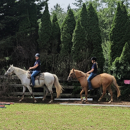 Two horse standing on a grassy field with trees in the background