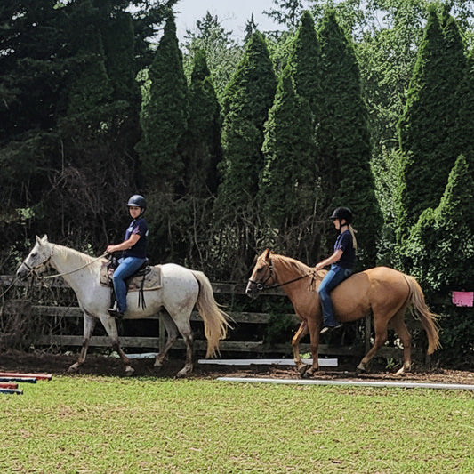 Two horse standing on a grassy field with trees in the background