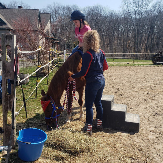 Woman helping a child ride a pony on a farm with a blue bucket nearby.