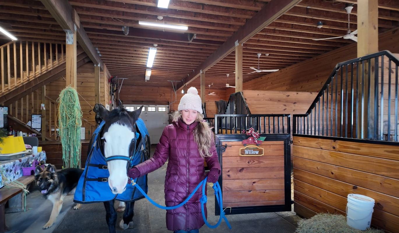 Load video: Introduction to Fox Field Farm in Branford, CT